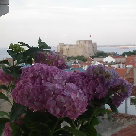 Guest house Mauna 3*