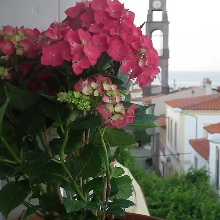 Pensionat Mauna Bozcaada