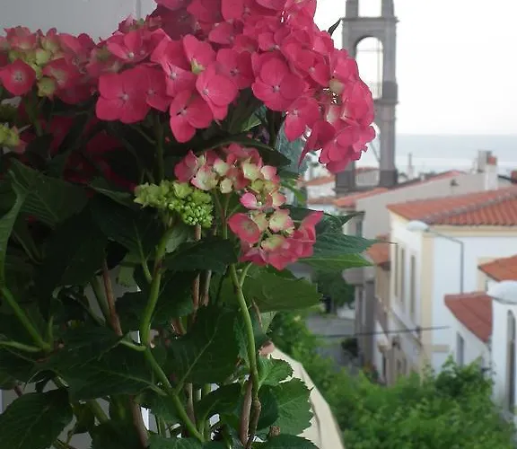 בית הארחה Mauna בוזקאדה